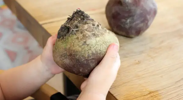 Kleine Hände halten eine rote Bete. Ein weiteres Exemplar liegt daneben auf dem Holztisch.