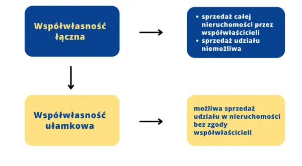 Współwłaściciel nieruchomości: Co możesz, a czego nie? Poznaj prawa!