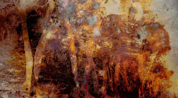 Un'opera di Joan Fontcuberta evoca un paesaggio minerale, quasi un'eruzione vulcanica di colori caldi e texture suggestive.