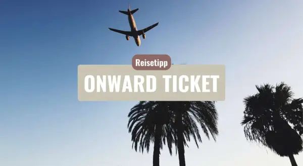 Flugzeug über Palmen, Reise-Tipp: Onward Ticket Erfahrungen für deine nächste Reise.
