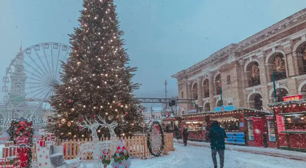 Weihnachtsmarkt mit beleuchtetem Baum, Rentier-Deko und Buden. Hier wird Weihnachten gefeiert, mit Schnee und Lichterglanz.