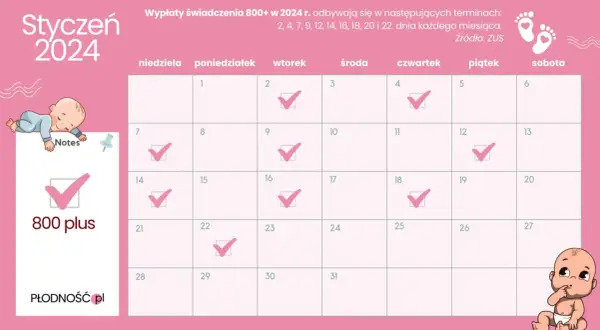 Od kiedy 800 plus? Data, wnioski i wypłaty ZUS.