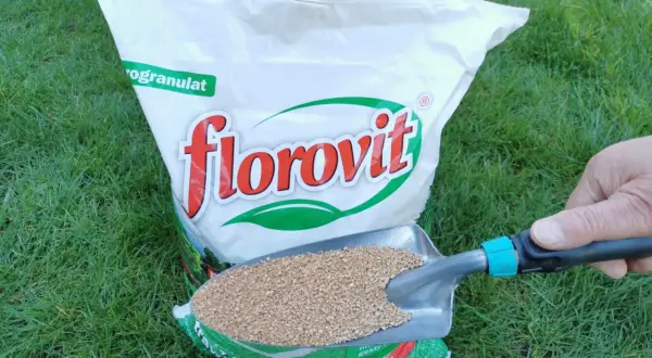 Najlepszy nawóz przed siewem warzyw, który poprawi plony i glebę