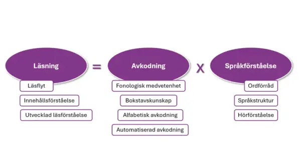 Diagram visar att läsning är en procedure svenska som bygger på avkodning och språkförståelse.