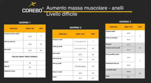 Programma di allenamento full body per aumento massa muscolare con anelli, livello difficile. Tre giorni di esercizi intensi.
