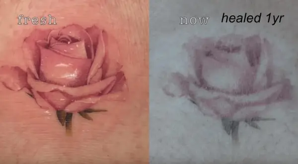 Rosa de microrealismo tattoo antes y después. La imagen muestra la misma rosa, primero recién hecha y luego curada tras un año, con una sutil pérdida de color.