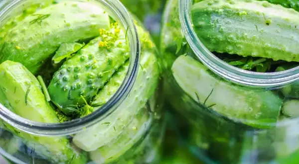 Słoiki pełne świeżych ogórków, gotowych do przygotowania pysznych ogórków małosolnych. Dzikie zioła dodają aromatu.