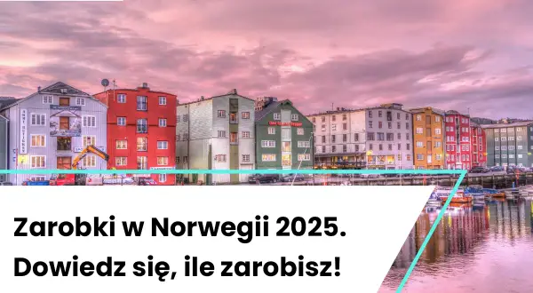 Norwegia: Zarobki weterynarza czy warto emigrować?