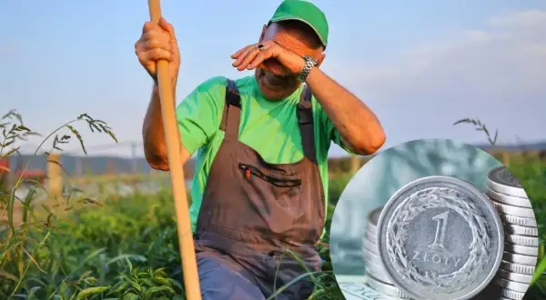 Zmęczony rolnik ociera łzy na polu. Obok stos monet, symbolizujący trudną rekompensatę za ciężką pracę.