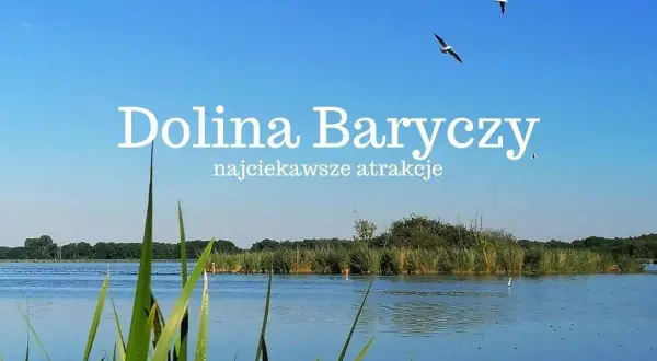 Spokojne jezioro otoczone trzcinami, z ptakami na niebie i napisem "Dolina Baryczy".