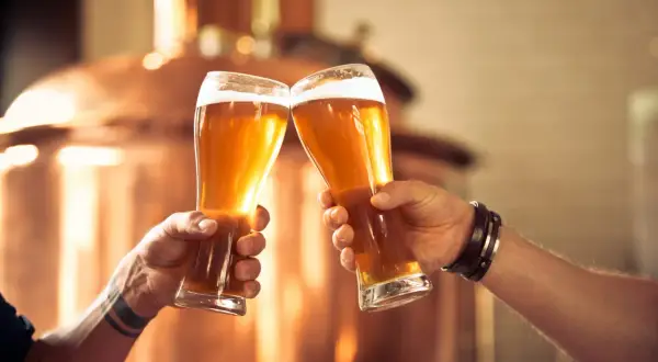 Due mani brindano con due bicchieri di birra dorata, un brindisi alla buona compagnia e ai carboidrati che la birra contiene.