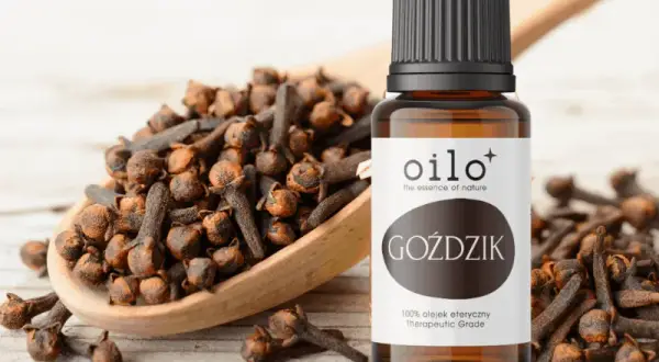 Gdzie kupić olejek goździkowy? Sprawdzone miejsca i ceny