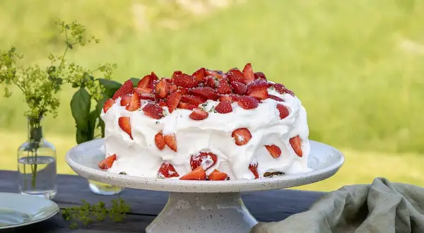 En härlig sommarskuggan tårta med vispgrädde och färska jordgubbar, redo att avnjutas utomhus i det gröna.