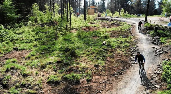 Rowerzyści pokonują kręte trasy rowerowe Bielsko w otoczeniu leśnej zieleni.
