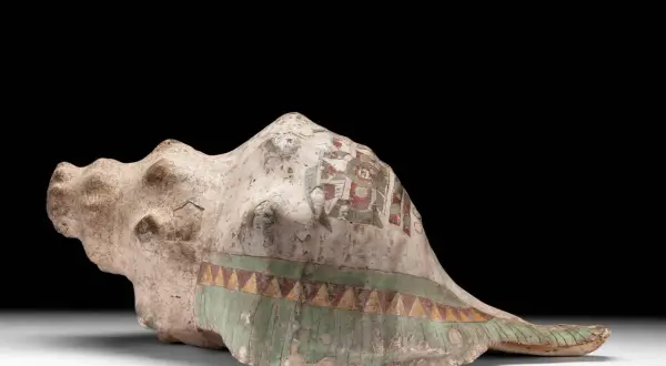 Caracoles palo flamenco con decoraciones geométricas y figuras antropomorfas.
