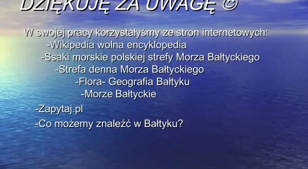 Czym jest morze? Definicja, różnice i ochrona Bałtyku