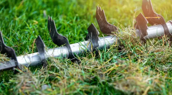 Metalowe ostrza wertykulatora zagłębiają się w trawnik, przygotowując go do wiosennego wzrostu. To idealny moment, kiedy wertykulować trawnik na wiosnę.