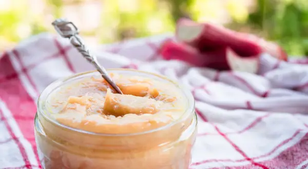 Un pot de compote pomme rhubarbe, avec une cuillère en argent, sur un torchon à carreaux rouges et blancs. Des tiges de rhubarbe sont visibles en arrière-plan.