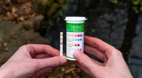 Test de dureté de l'eau pour savoir comment augmenter la dureté de l'eau. Les couleurs changent sur la bandelette.