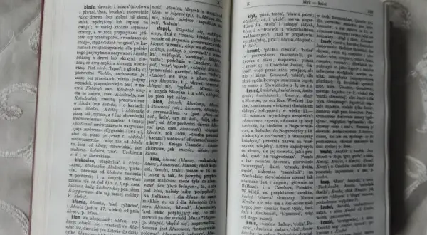Słownik etymologiczny Brücknera: Klucz do polskiej historii języka