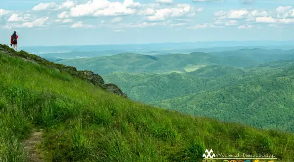 Bieszczady: Odkryj najpiękniejsze miejsca i zaplanuj podróż