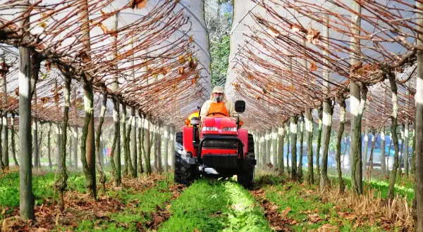 Traktorzysta w kombinezonie ochronnym pracuje w tunelu foliowym, dbając o rośliny. To przykład zrównoważonej permakultury w ogrodzie, gdzie technologia wspiera naturę.