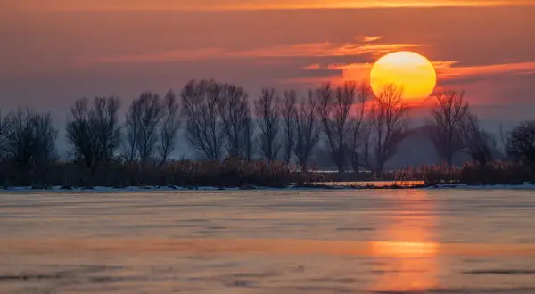 Zachód słońca nad zamarzniętym jeziorem. fotografia krajobrazowa z nagimi drzewami i trzcinami na brzegu.