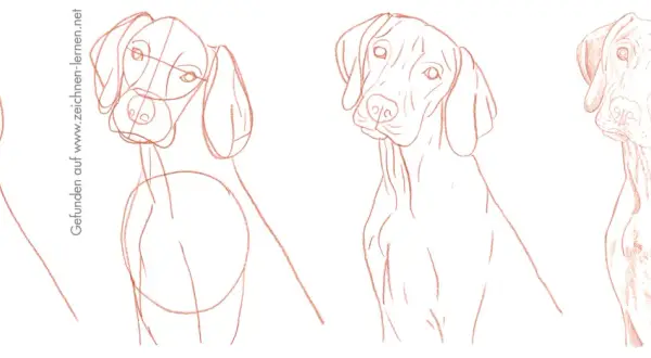 Hund malen einfach: Schritt-für-Schritt-Anleitung für Anfänger