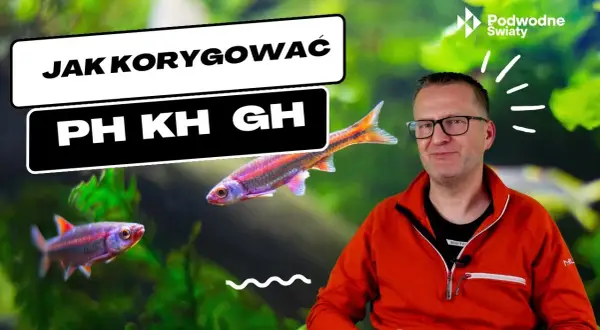 Jak podnieść pH w akwarium? Stabilne KH to klucz!