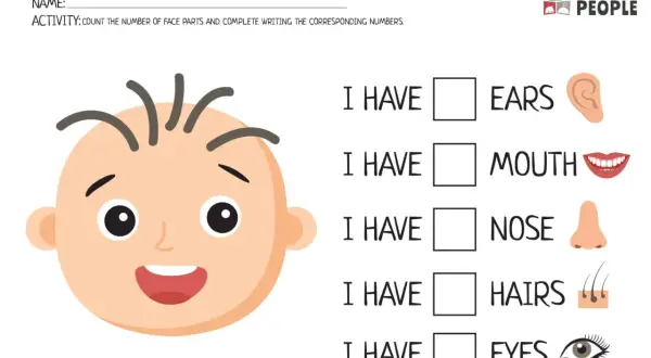 Hoja de actividades para niños sobre partes del cuerpo en inglés. Muestra una cara sonriente y lista para completar cuántas orejas, boca, nariz, pelos y ojos tiene.