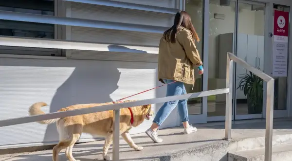 Frau mit Hund betritt Tierarztpraxis. Eine Tabelle mit tierarztkosten hund ist vielleicht im Inneren zu finden.