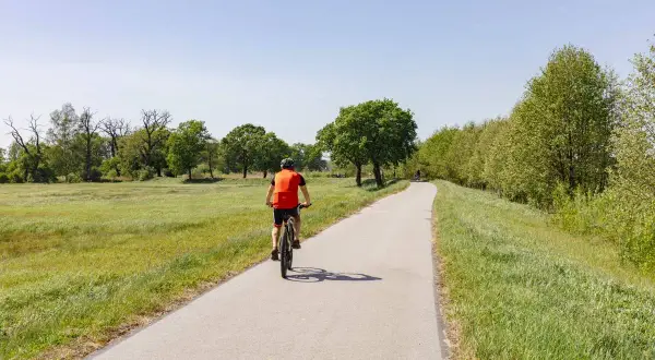 Rowerzysta na ścieżce wzdłuż zielonych łąk i drzew. Idealne miejsce na odkrywanie dolnośląskiej krainy rowerowej.