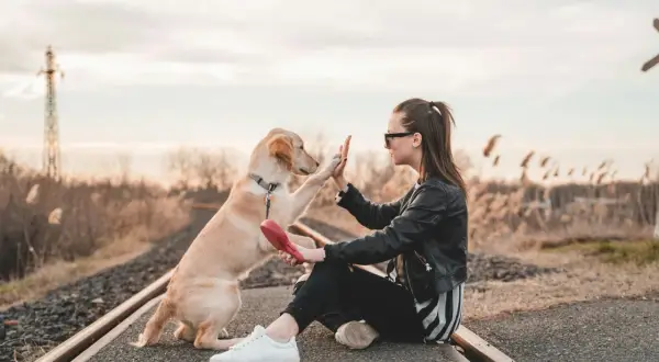 Joven da la mano a su perro en las vías del tren. Una escena que evoca la idea de cuidar mascotas a cambio de alojamiento, un viaje inesperado.