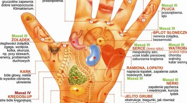 Akupresura dłoni: Mapa zdrowia i ulga w dolegliwościach