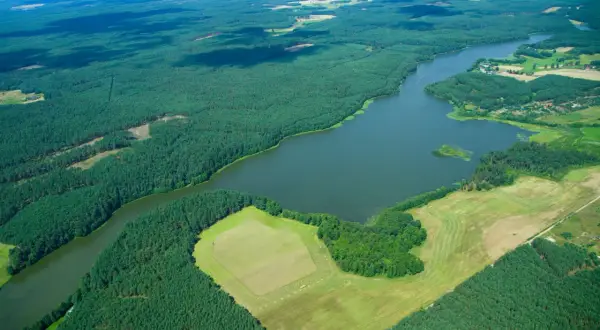 Rozległe lasy sosnowe otaczają spokojne jezioro Wysockie, tworząc malowniczy krajobraz z polami i niewielkimi osadami w oddali.