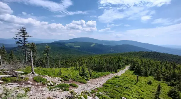 Śnieżnik: Którym szlakiem? Wybierz idealną trasę i podziwiaj!