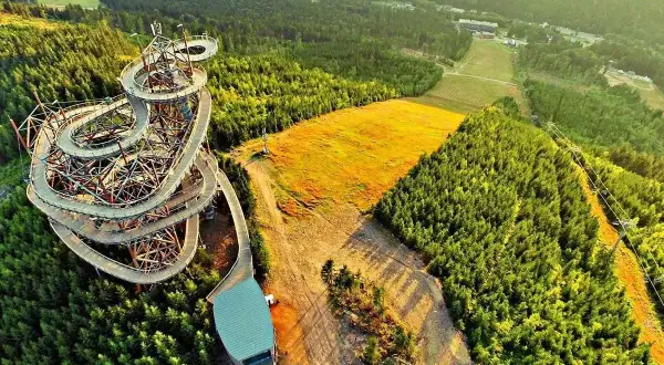 Drewniany sky bridge w Czechach wije się wśród zielonych lasów, oferując widok na złote pola i góry.