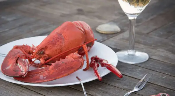En hel, röd hummer på en tallrik, redo att avnjutas med ett glas vitt vin. Perfekt för en sommarkväll.