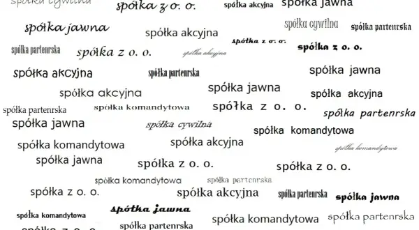Różne rodzaje spółek: spółka jawna, akcyjna, z o.o., komandytowa, cywilna, partnerska.