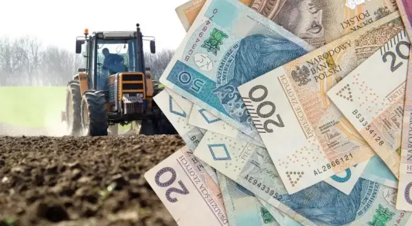Hodowla ślimaków 2026: Zysk 60 tys. zł? Analiza kosztów i dotacji