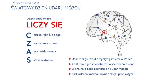 Udar mózgu: Twój plan na powrót do sprawności i życie bez obaw