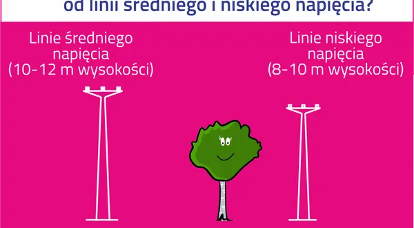 Ilustracja przedstawia linie energetyczne średniego i niskiego napięcia oraz drzewo z podanymi odległościami.