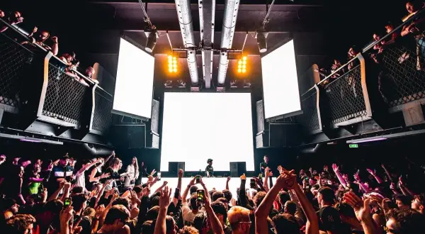 Belgia: Festiwale elektroniki który wybrać? Przewodnik z Polski