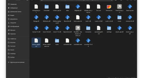 Plik steam_appid.txt jest zaznaczony. Wygląda na to, że steam nie działa, a folder zawiera pliki gry The Binding of Isaac.