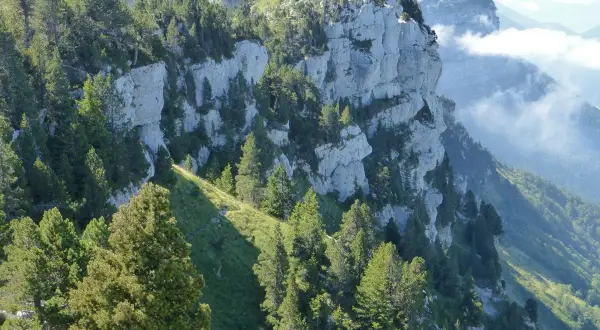 Sentier de rando en montagne, falaises calcaires abruptes et sapins verdoyants. Un paysage grandiose pour une belle rando.