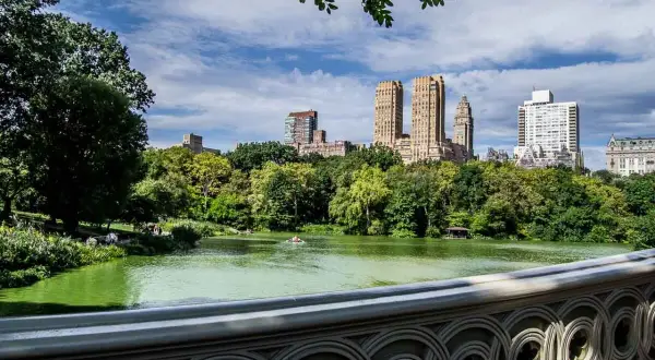 Central Park w Nowym Jorku. Jezioro z łódką, otoczone zielenią, z wieżowcami w tle.