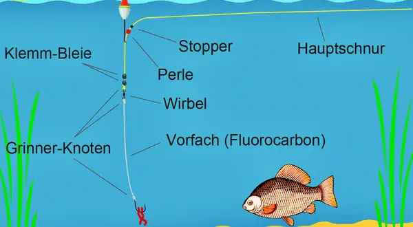 Eine Laufposenmontage mit Stopper, Perle, Wirbel, Klemmblei und Grinner-Knoten. Ein Fluorocarbon-Vorfach mit Haken und Köder wartet auf einen Fisch.