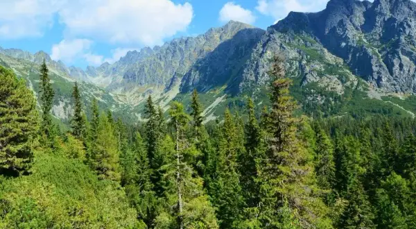 Tatry z Krakowa: Jak i kiedy zobaczyć majestat gór?