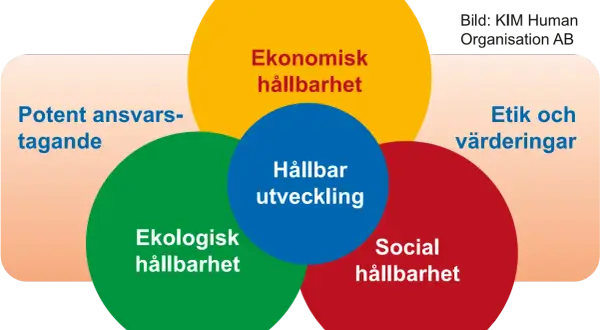 Diagram som visar att hållbar utveckling bygger på ekonomisk, ekologisk och social hållbarhet, samt etik och värderingar.