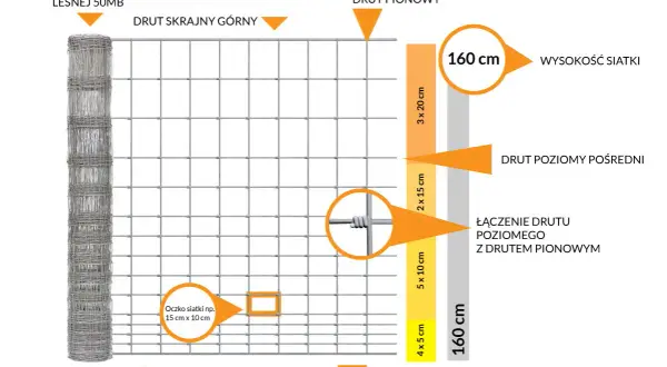 Schemat ogrodzenia z siatki leśnej, pokazujący jej budowę, wymiary i rozkład oczek. Siatka ma wysokość 160 cm.